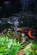 Lijiang Hotel JunPoXuan