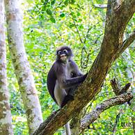 Anurak Community Lodge