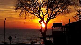 Balm Beach Resort & Motel