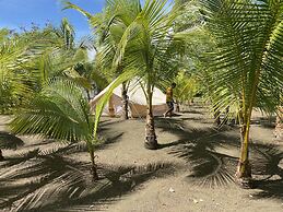 Hotel Hibiscus Garden / Jardin De Papos