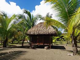 Hotel Hibiscus Garden / Jardin De Papos