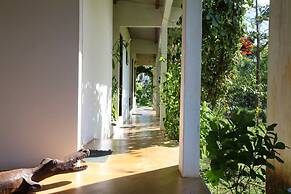 Hotel Hibiscus Garden / Jardin De Papos