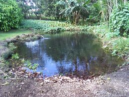 Paraiso Volcano Lodge