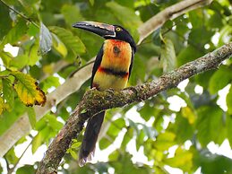Paraiso Volcano Lodge