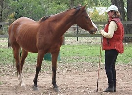 Fullcircle Farm Bed & Breakfast