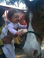 Fullcircle Farm Bed & Breakfast