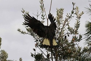 Fullcircle Farm Bed & Breakfast