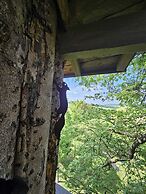 Au Refuge des 3 Ours