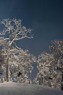 Morino Lodge Myoko - Hostel