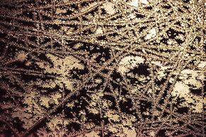 Morino Lodge Myoko - Hostel