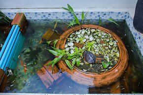 Villa Silk Road Hotel