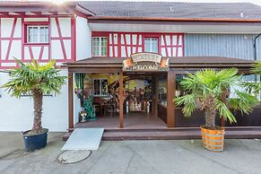 Stars and Stripes - Motel Steighof