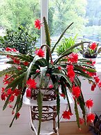 Ferienhaus BLACK & WHITE