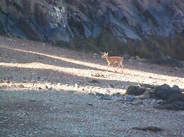 Redclyffe Shore Motor Inn
