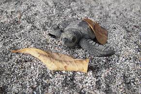 Hotel Locanda Samara Beach