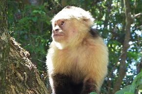 Hotel Locanda Samara Beach