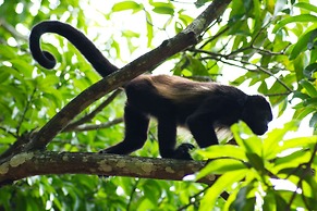 Hotel Locanda Samara Beach