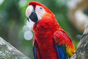 Hotel Locanda Samara Beach