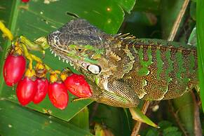 Hotel Locanda Samara Beach