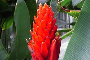 Hotel Locanda Samara Beach