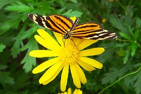 Hotel Locanda Samara Beach