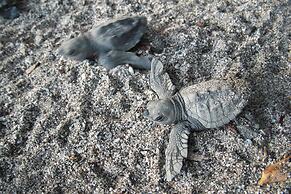 Hotel Locanda Samara Beach