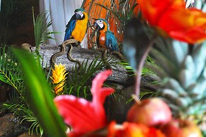 Hotel Locanda Samara Beach