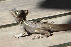 Hotel Locanda Samara Beach