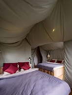 Yolo Camping House - Hostel