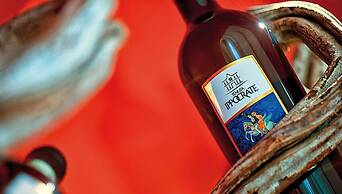 Tenuta Ippocrate