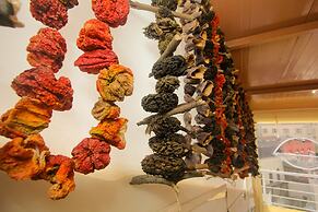 Venue Hotel Old City Istanbul