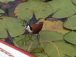 Ditlhapi Guest House