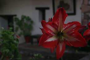 Hotel Ruinas del Real