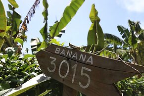 Palau Plantation Resort