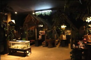 Palau Plantation Resort