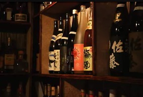 Palau Plantation Resort