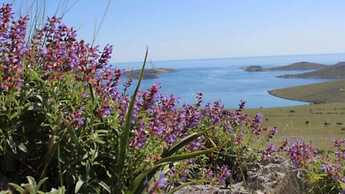 Guverna New City Accommodation