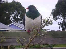 Catlins Newhaven Holiday Park