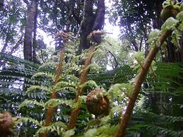 Catlins Newhaven Holiday Park