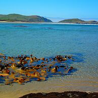 Catlins Newhaven Holiday Park