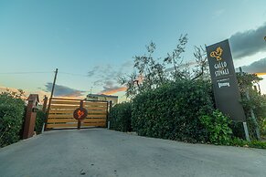 Il Gallo con gli Stivali