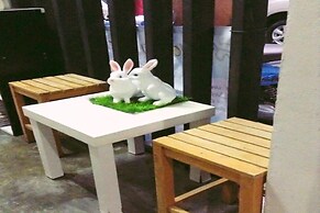Cozy Rabbit Hotel