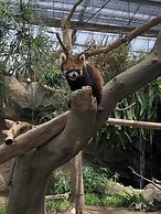 Smile Hotel Kobe Motomachi