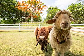 North Hill City Resort