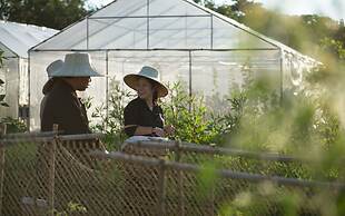 North Hill City Resort