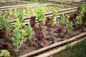 North Hill City Resort