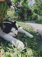 Hotel y Cafe La Casa del Mundo