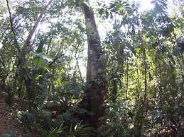 Cabinas Los Laureles