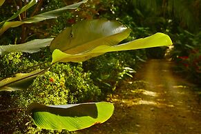 Cabinas Los Laureles