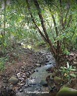 Cabinas Los Laureles